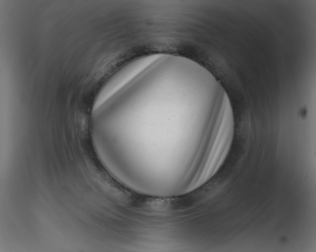 X0000116640084200912291604