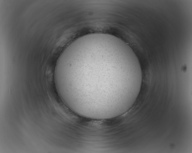 X0000116640086200912291604