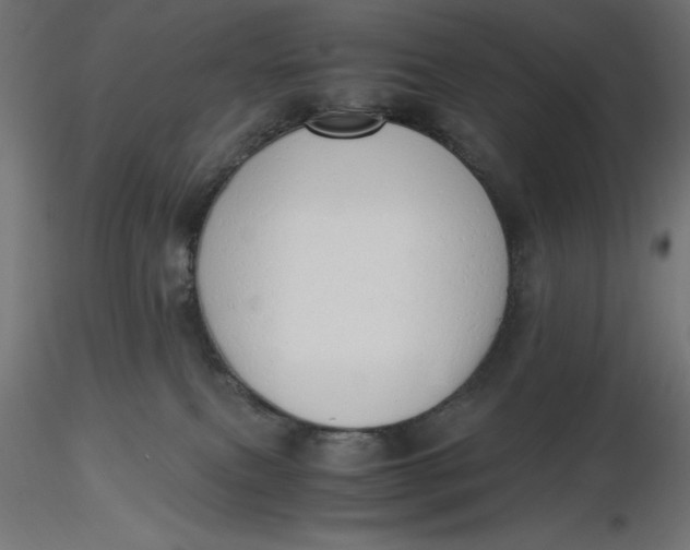 X0000116640087200912291604