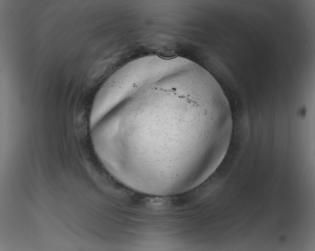 X0000116640088200912291604