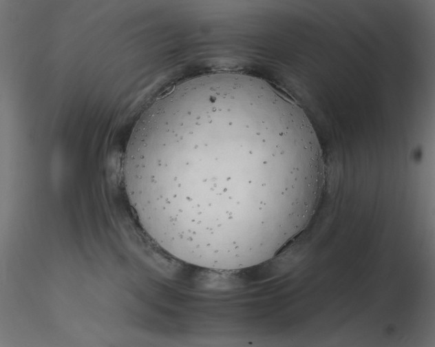 X0000116640093200912291604