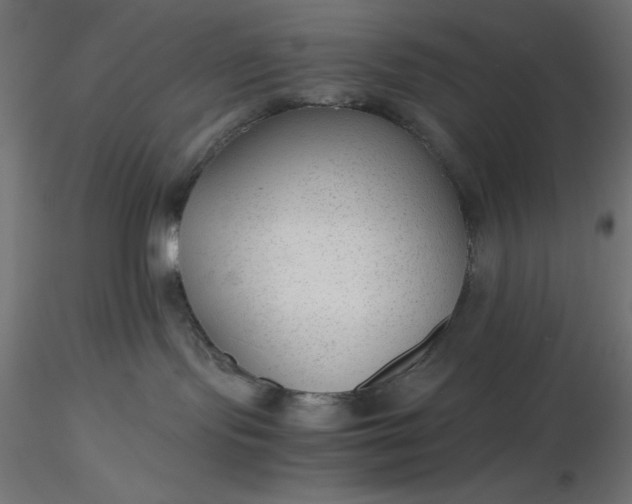 X0000116640095200912291604