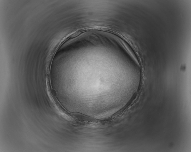 X0000116640097200912291604