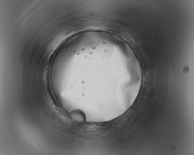 X0000116640098200912291604