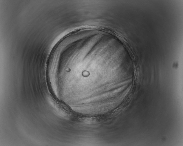 X0000116640100200912291603