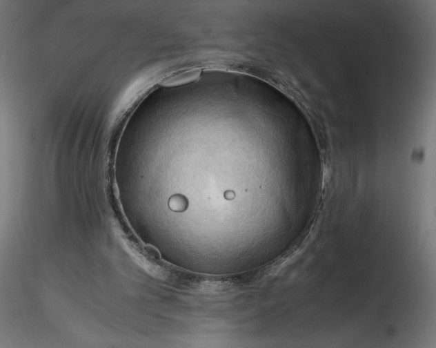 X0000116640101200912291603