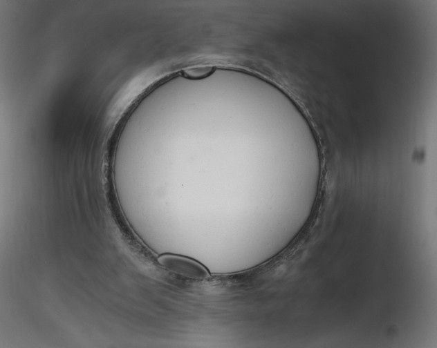 X0000116640103200912291603