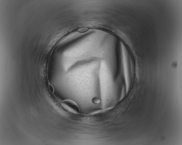 X0000116640105200912291603