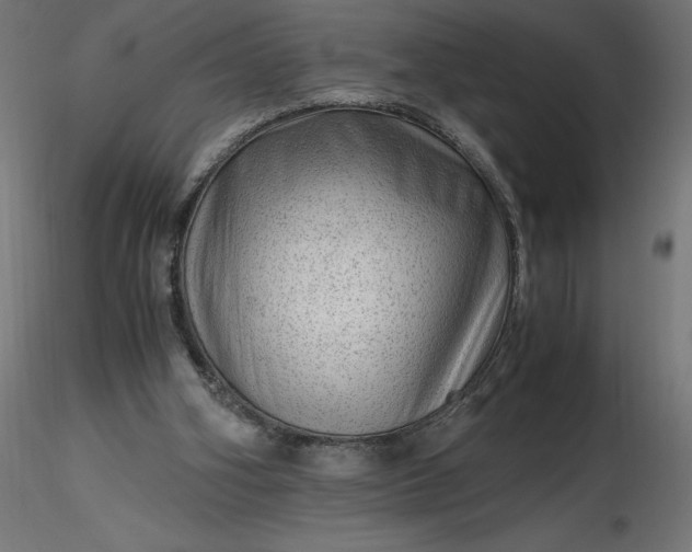 X0000116640106200912291603