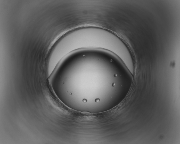 X0000116640108200912291603