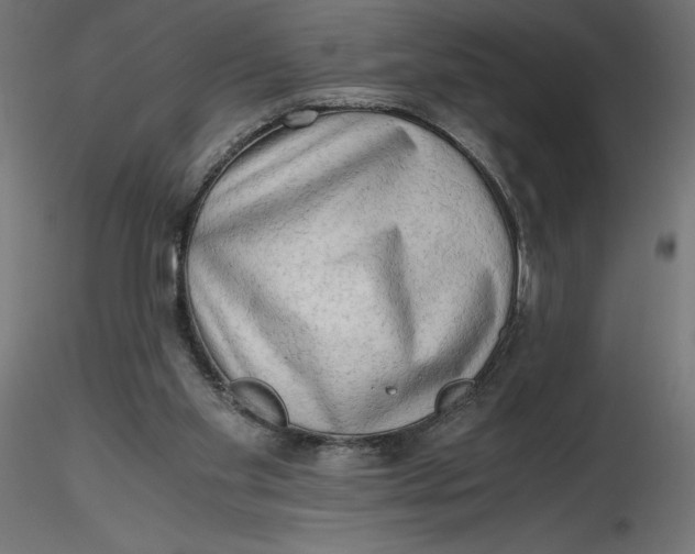 X0000116640109200912291603