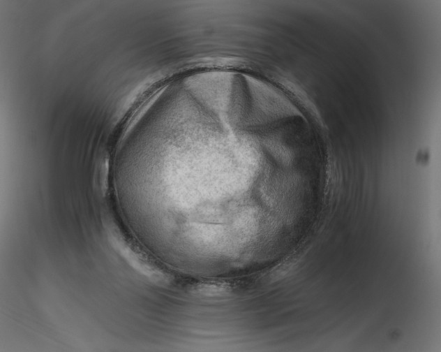 X0000116640110200912291603