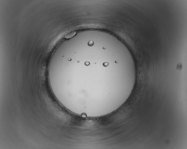 X0000116640111200912291603