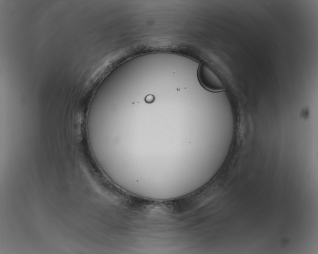 X0000116640115200912291603