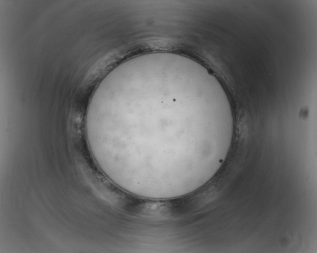 X0000116640117200912291603