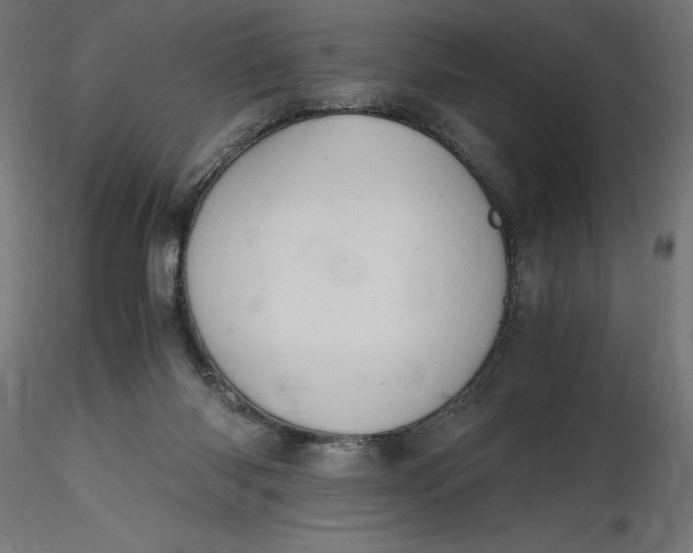 X0000116640118200912291603