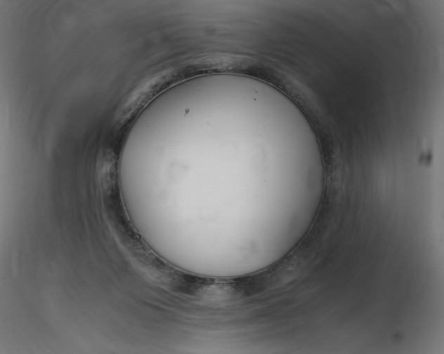 X0000116640119200912291603