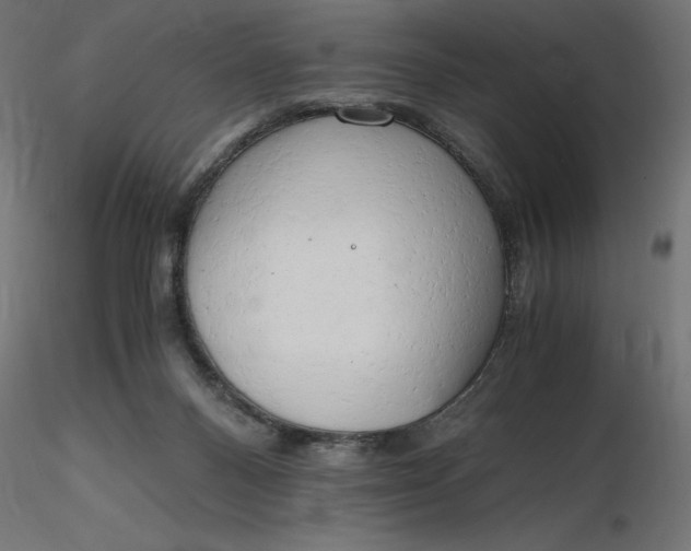 X0000116640120200912291603