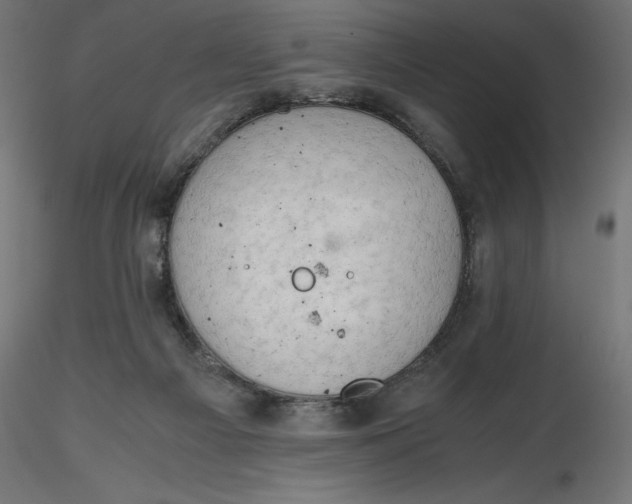 X0000116640121200912291603