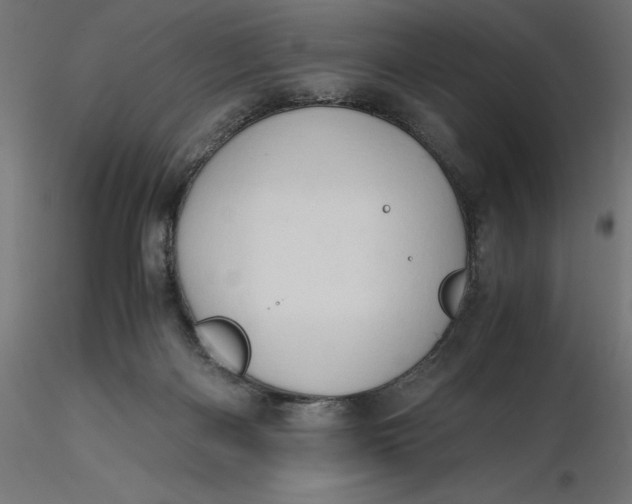 X0000116640122200912291603