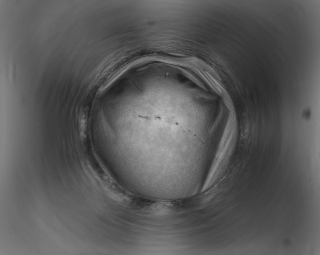 X0000116640124200912291603