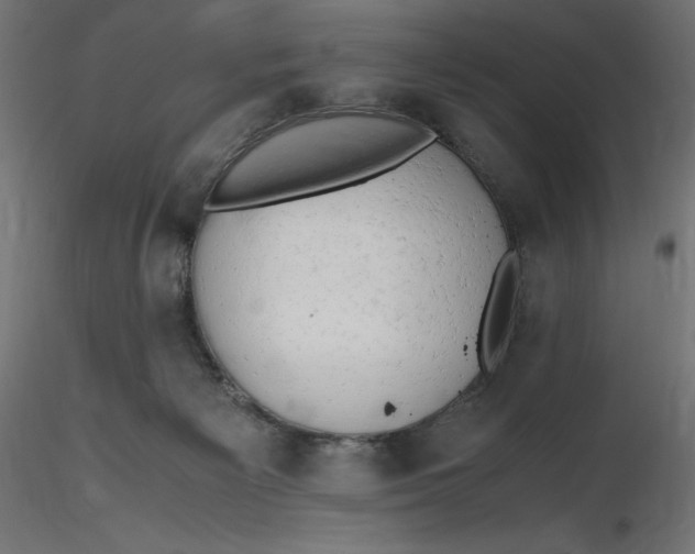 X0000116640125200912291603