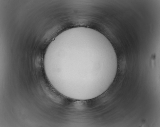 X0000116640126200912291603