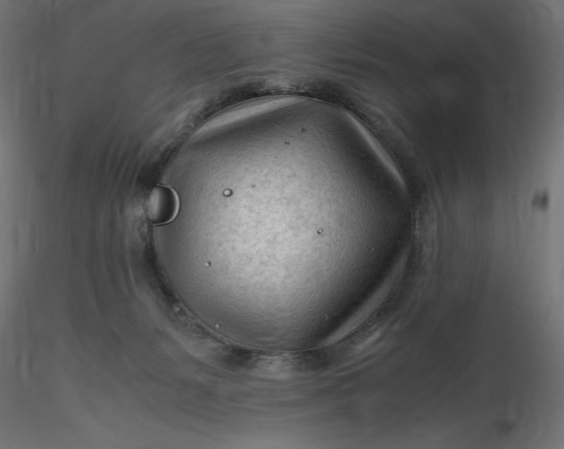 X0000116640127200912291603