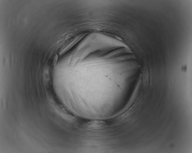 X0000116640128200912291603