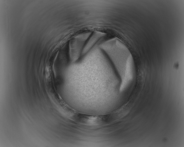 X0000116640130200912291603