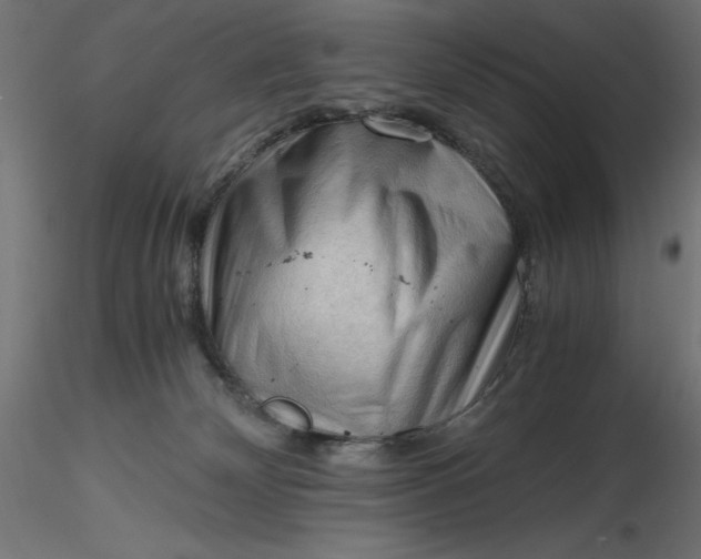 X0000116640132200912291603