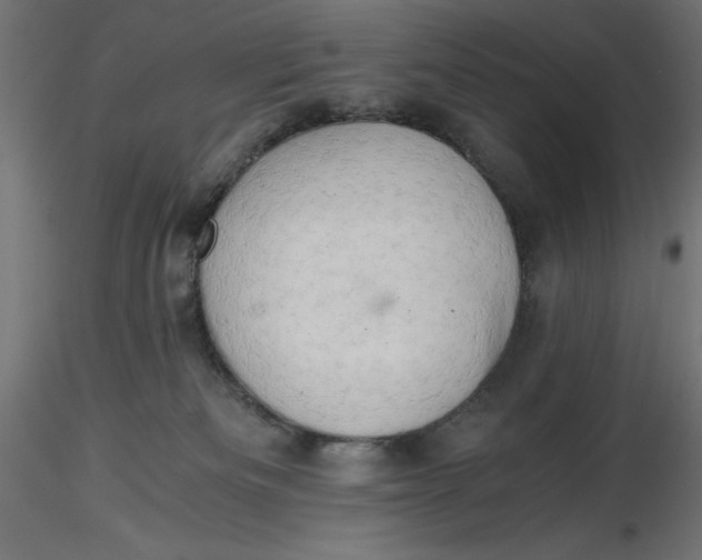 X0000116640133200912291603