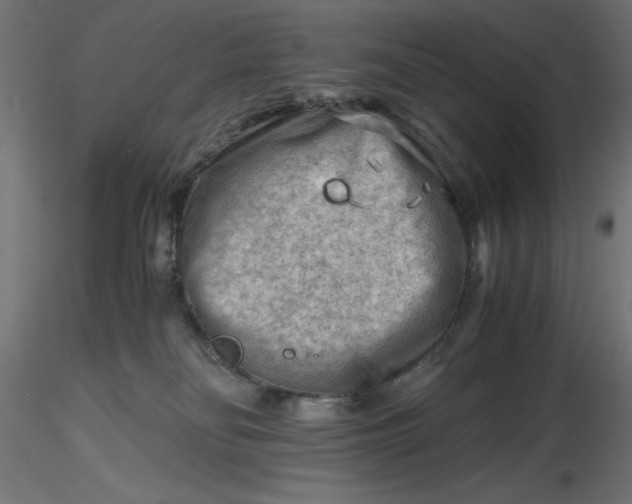 X0000116640134200912291603