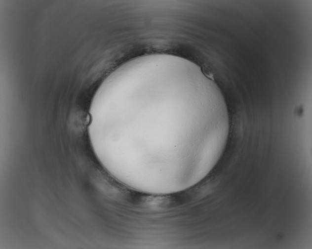 X0000116640135200912291603