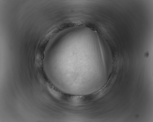 X0000116640136200912291603