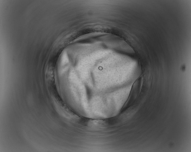 X0000116640137200912291603