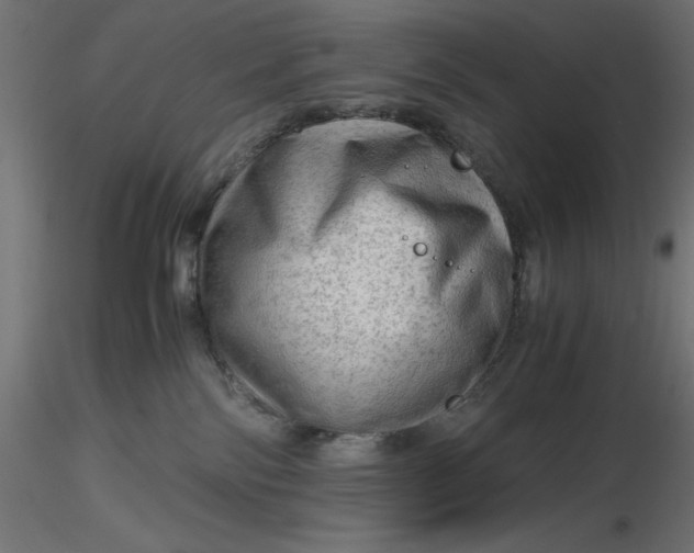 X0000116640138200912291603