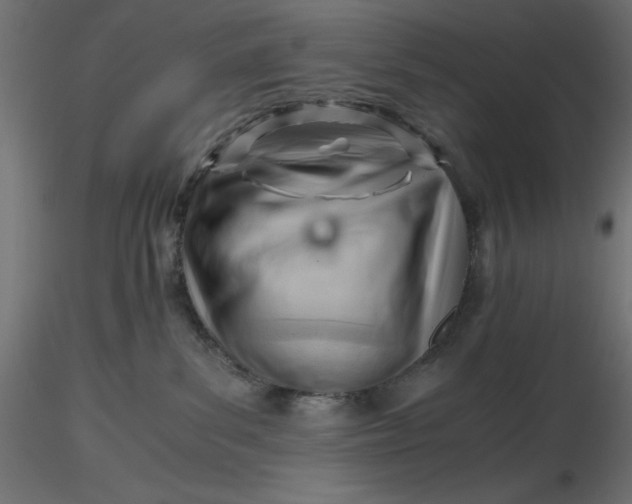 X0000116640139200912291603