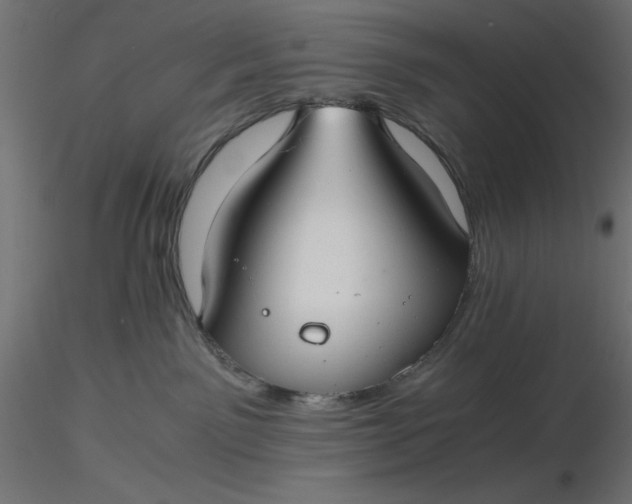 X0000116640141200912291603