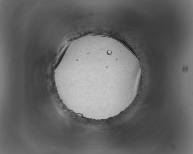 X0000116640144200912291603