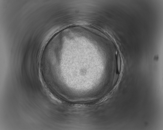 X0000116640145200912291602