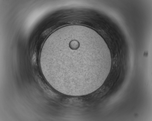 X0000116640146200912291602