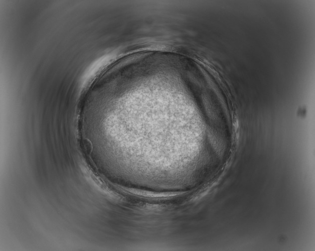 X0000116640149200912291602