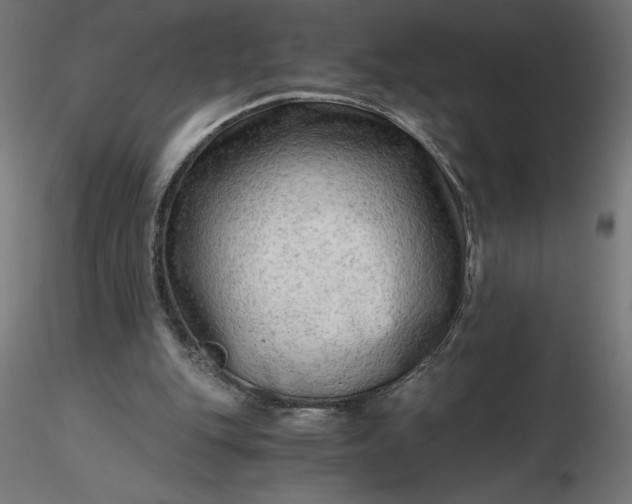 X0000116640151200912291602