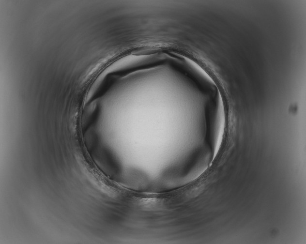 X0000116640153200912291602