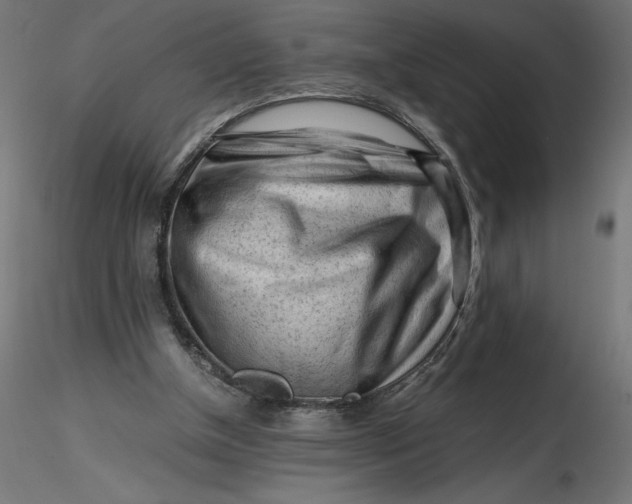 X0000116640154200912291602