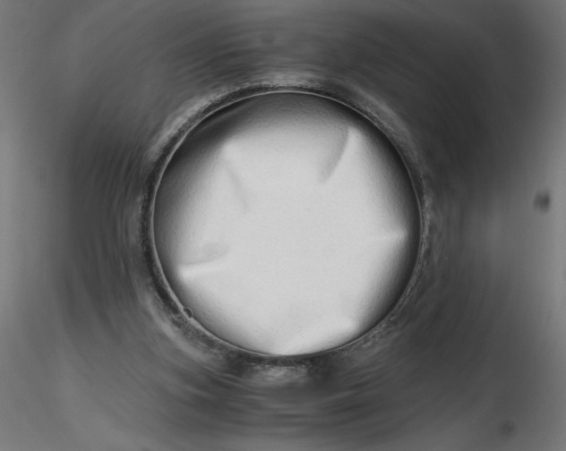 X0000116640155200912291602