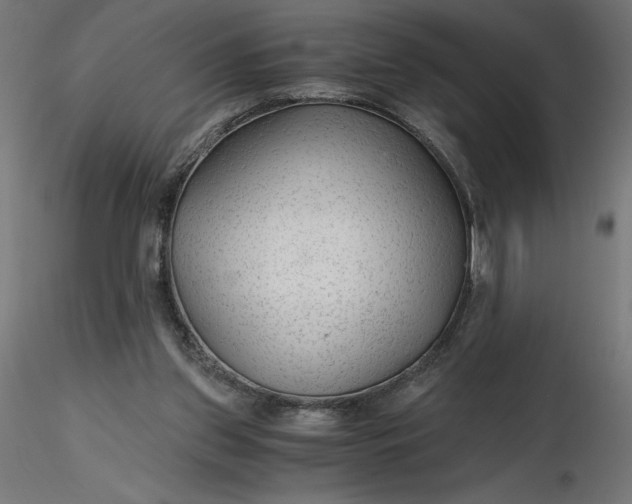 X0000116640157200912291602