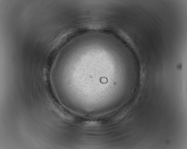 X0000116640161200912291602