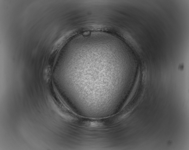 X0000116640165200912291603